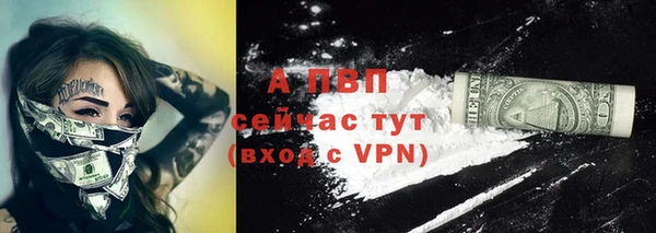 спиды Абаза