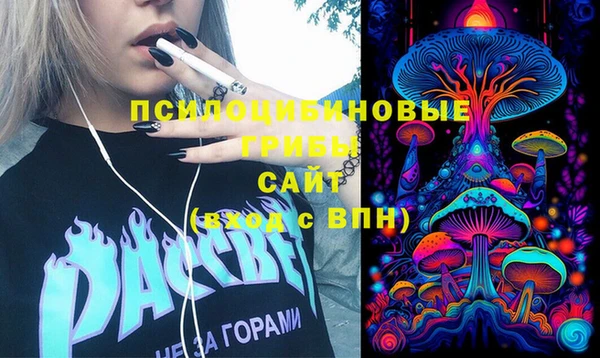 спиды Абаза