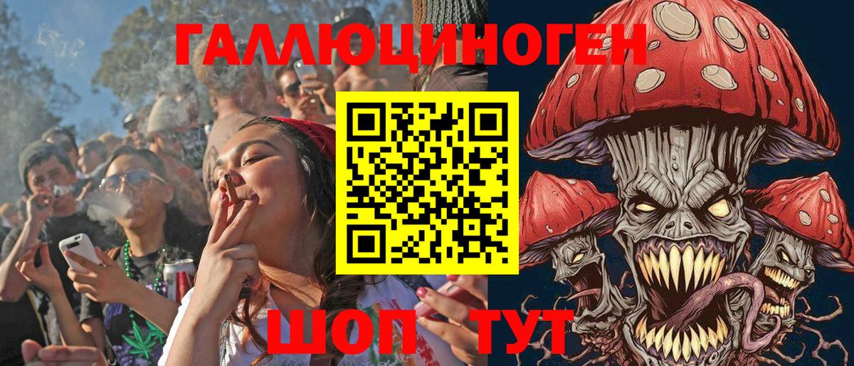 Псилоцибиновые грибы GOLDEN TEACHER  Галлюциногенные грибы мухоморы  Вход с VPN  Новосибирск 